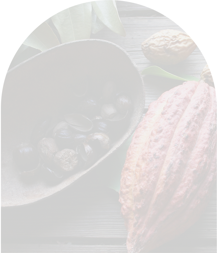 Cocoa pods